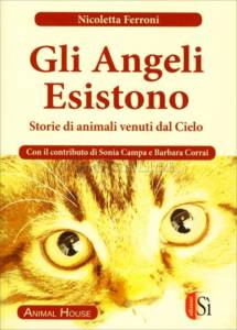 Gli Angeli esistono